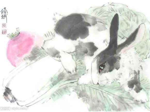 流氓兔双重身份从贱萌卡通到马拉松配速员