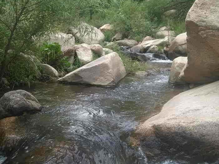 探寻水云间多重意蕴 从古典诗词到现代生活的心灵栖息地