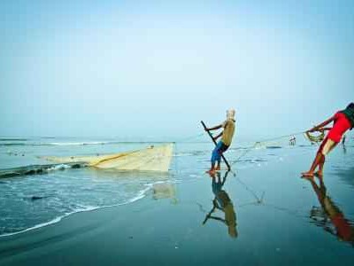 信息海洋里的打捞者：什么的渔夫教你从杂乱数据中捕获价值干货