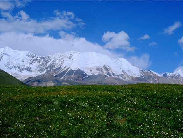 揭秘你心中那个“异性自己”：阿尼玛如何暗中主宰你的爱情与成长