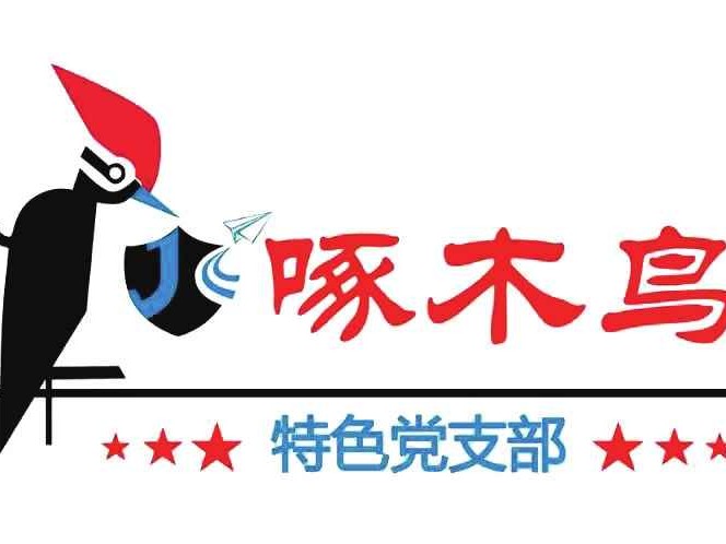 啄木鸟牌子真相大揭秘 从疑惑到信任的心路历程