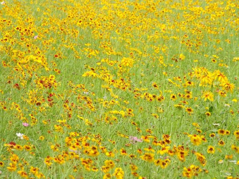 夏日色谱大公开你的夏天是哪一抹色彩